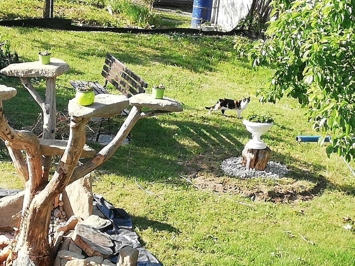 Apartmány MK Nové Hrady Exterior foto